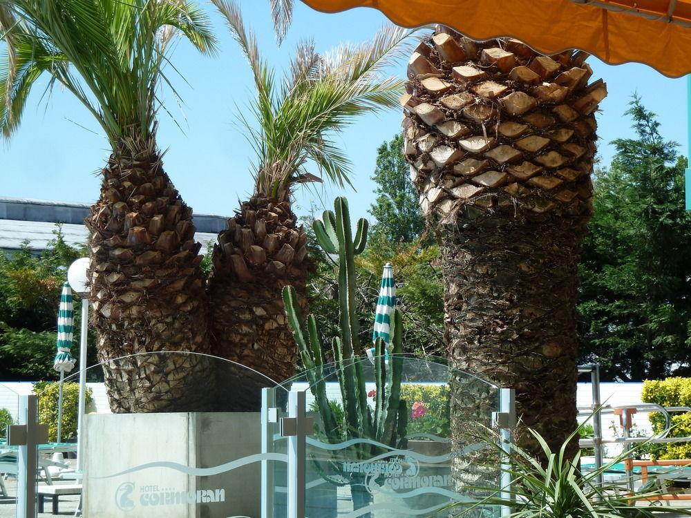 Hotel Cormoran ريتشوني المظهر الخارجي الصورة